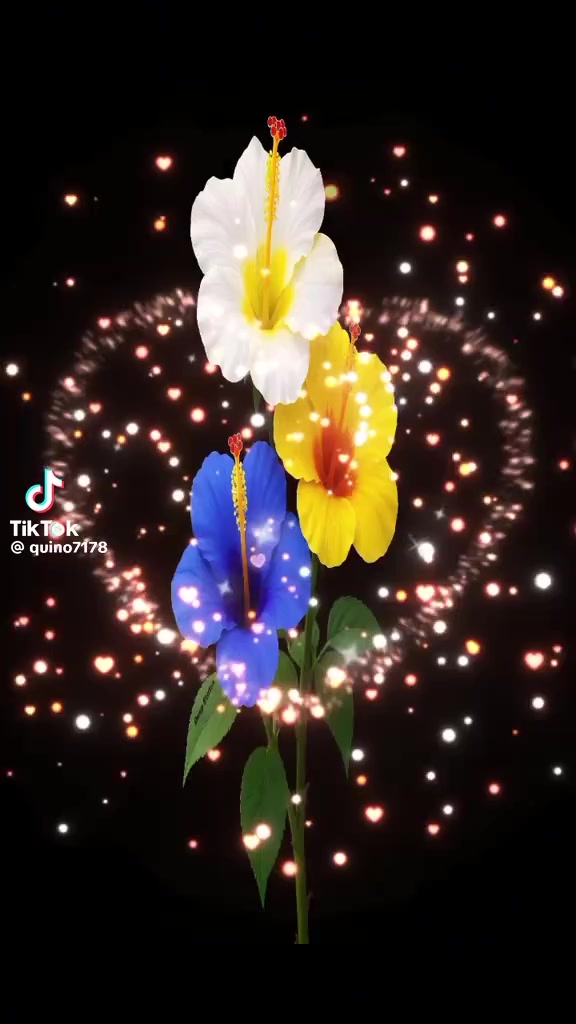 @lid.01