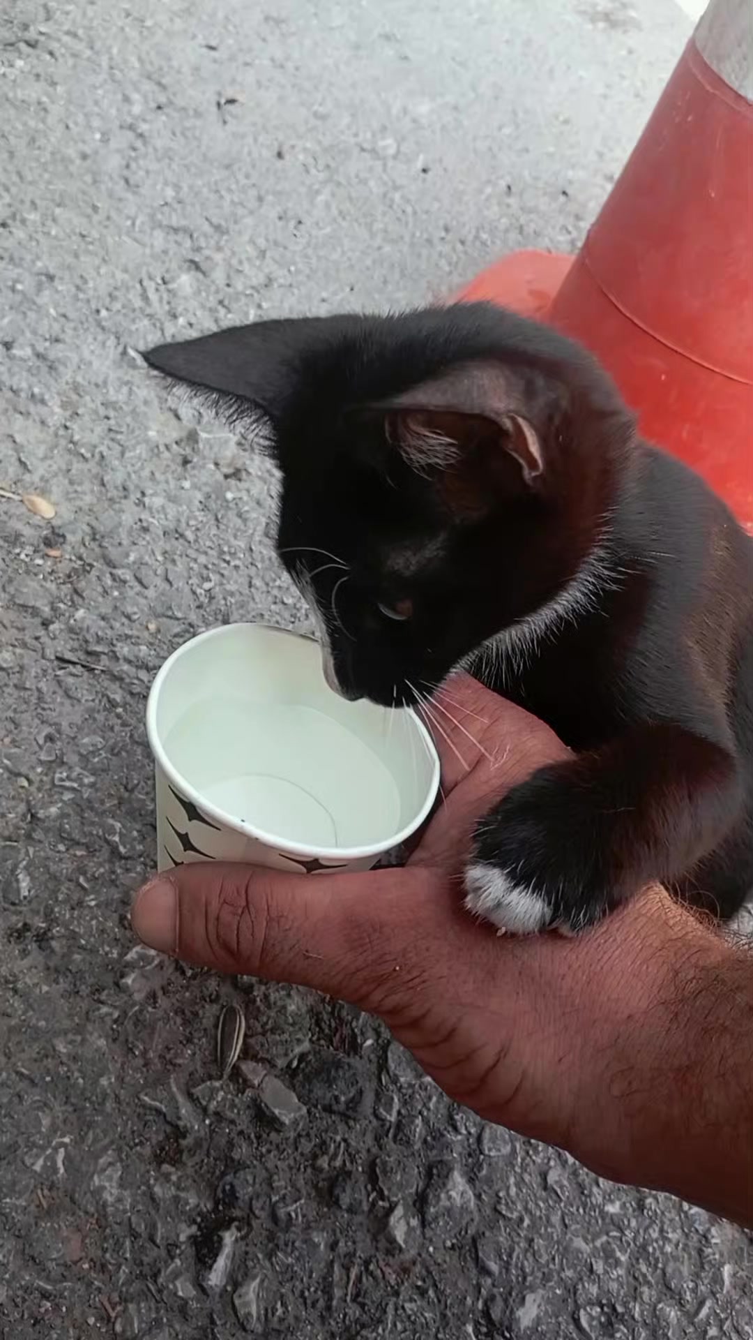 @çamur