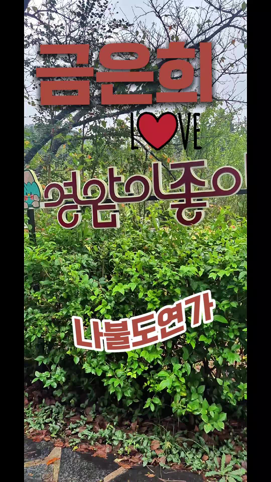 @금은희