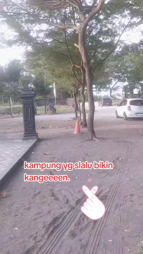@erna02