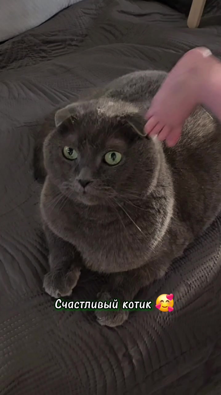 @Анна