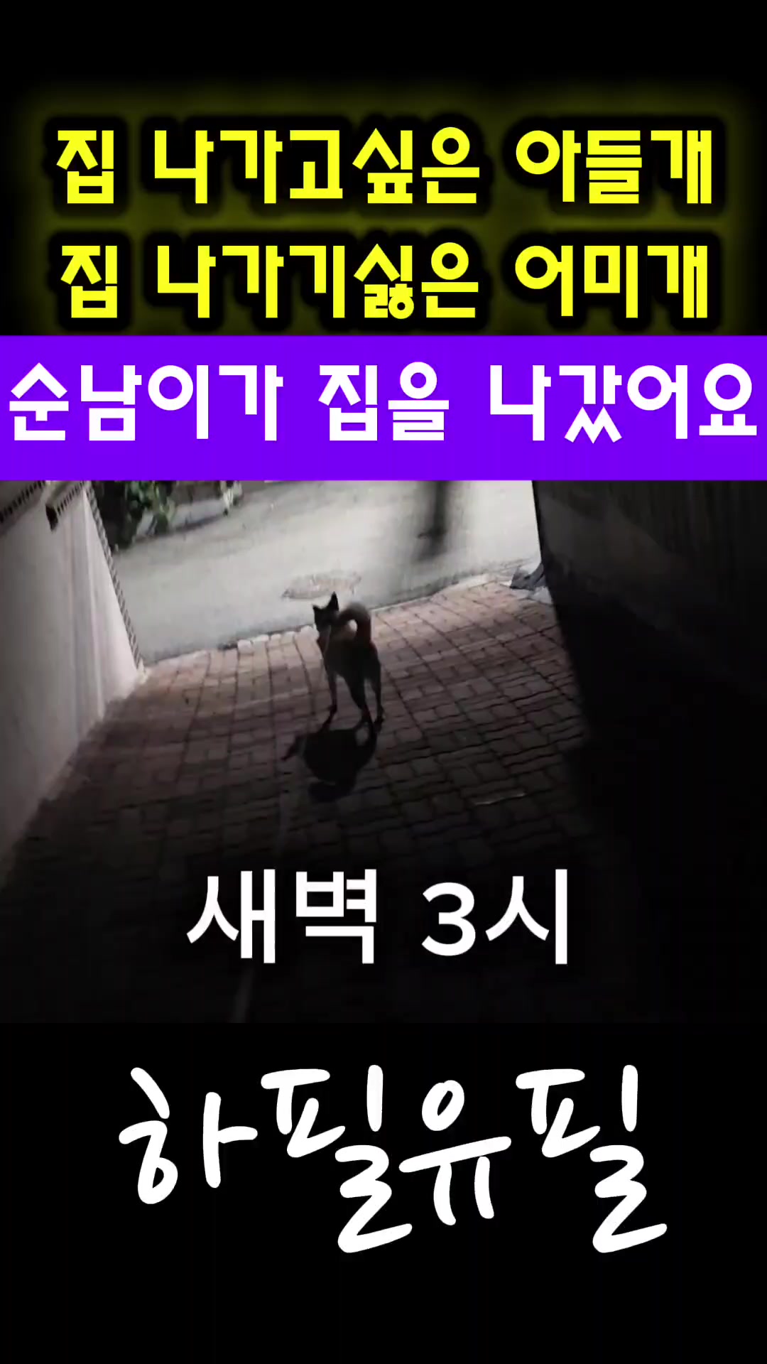 @하필유필