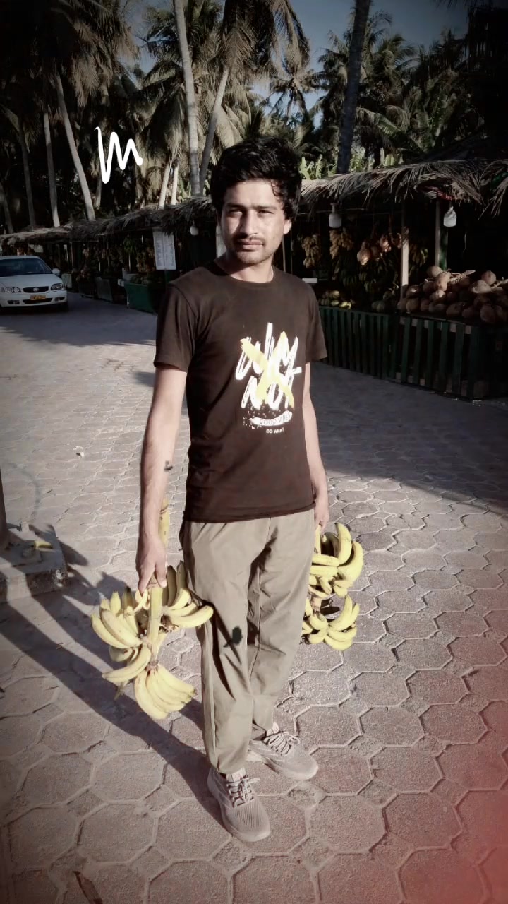 @Hamza Jani