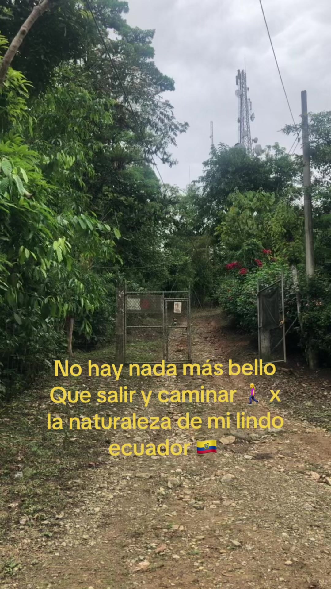 @❤️Jovita@7448🌞💚🌻🌵🌹