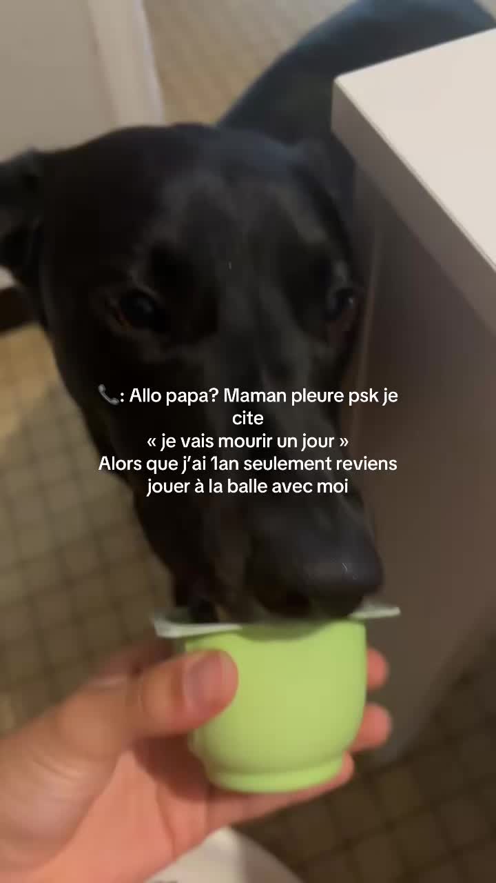 @loaelia