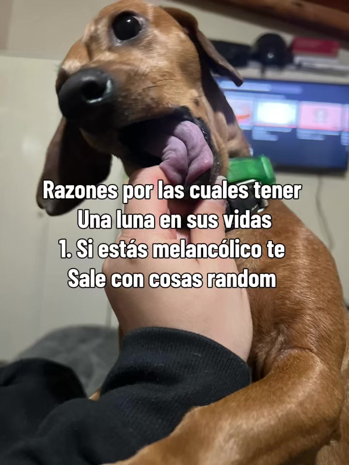 @Nika Rom&eacute; B.