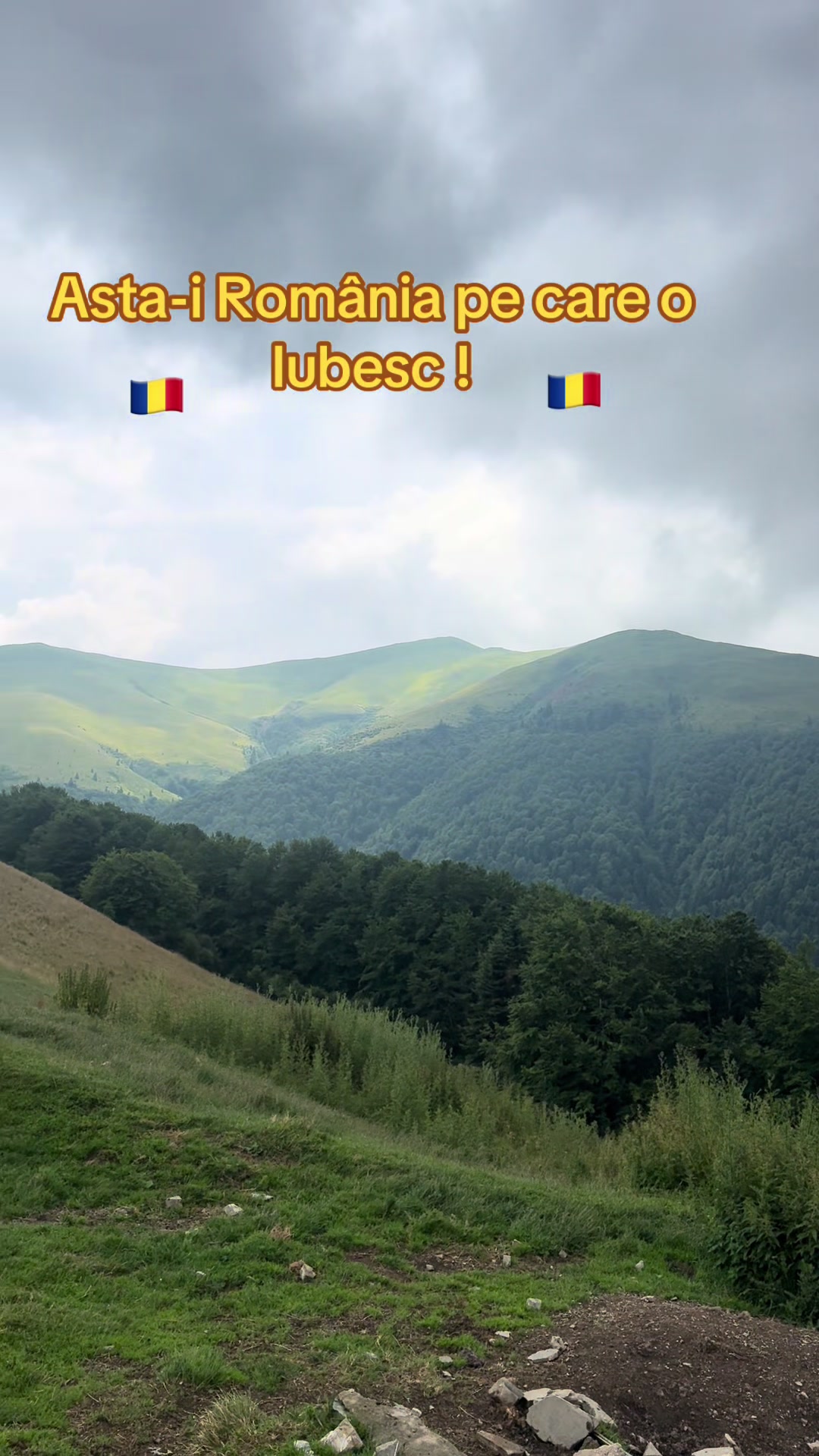@Laurentiu Tanase