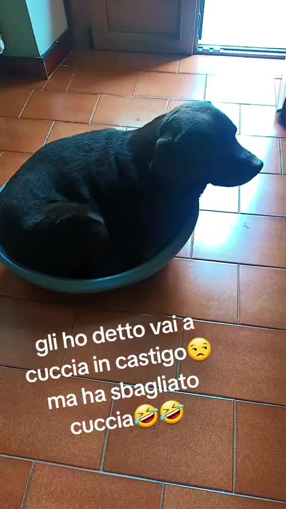 @⚘️LA DEBBY⚘️