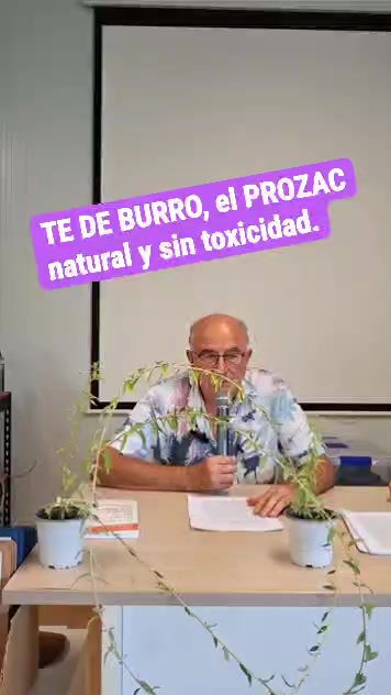 @Viviana Calabrese