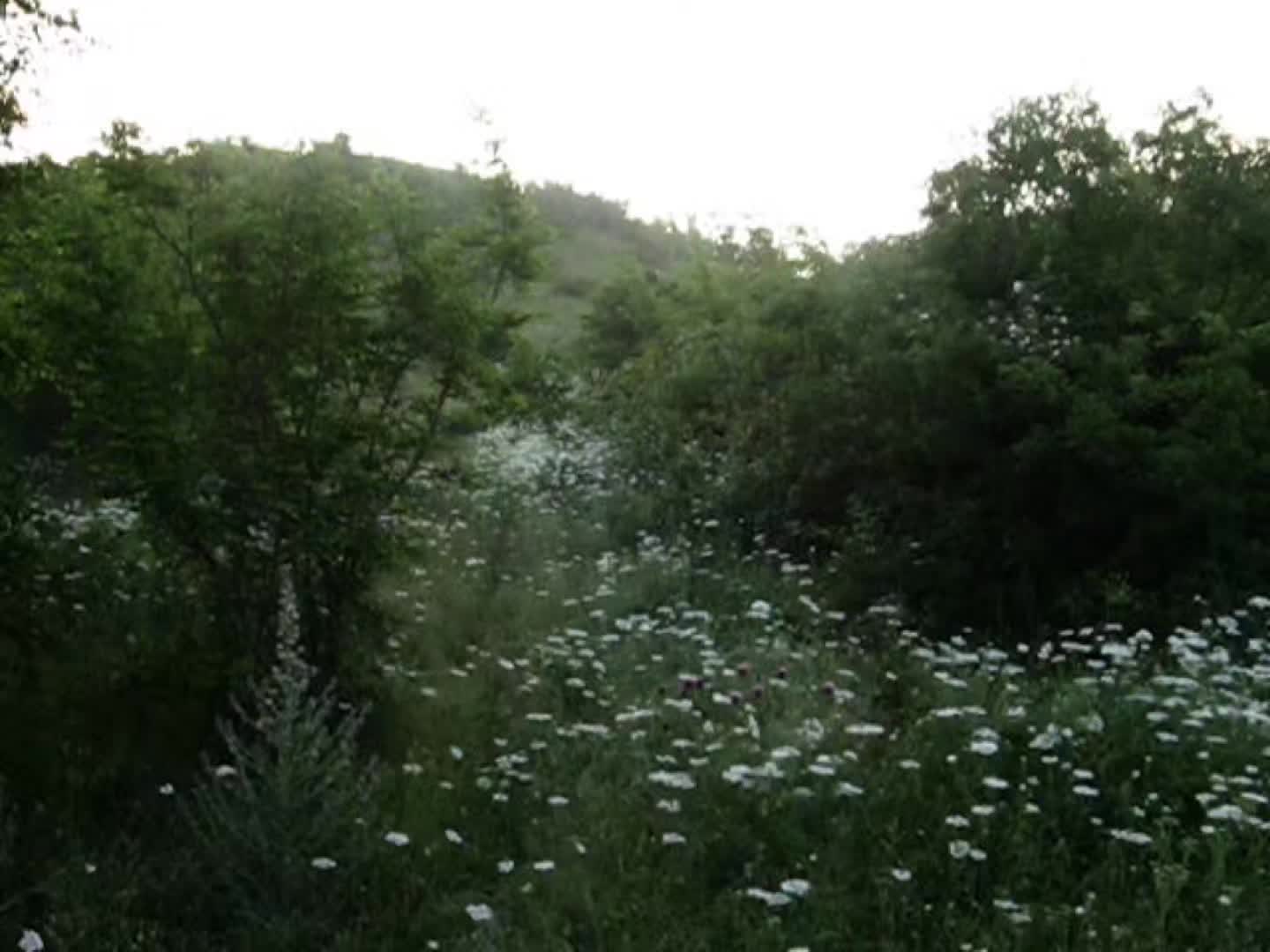@viaje a ninguna parte