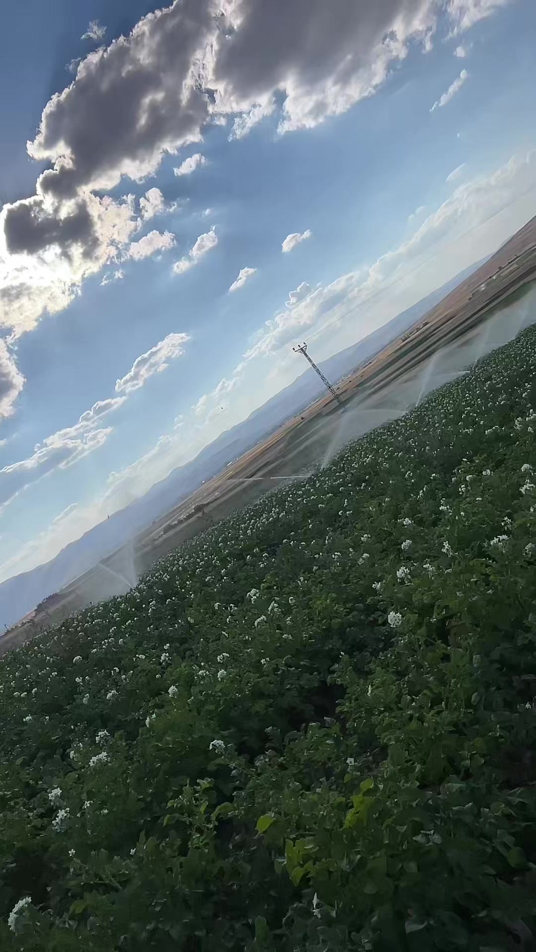 @Serkan &Ccedil;inkaya
