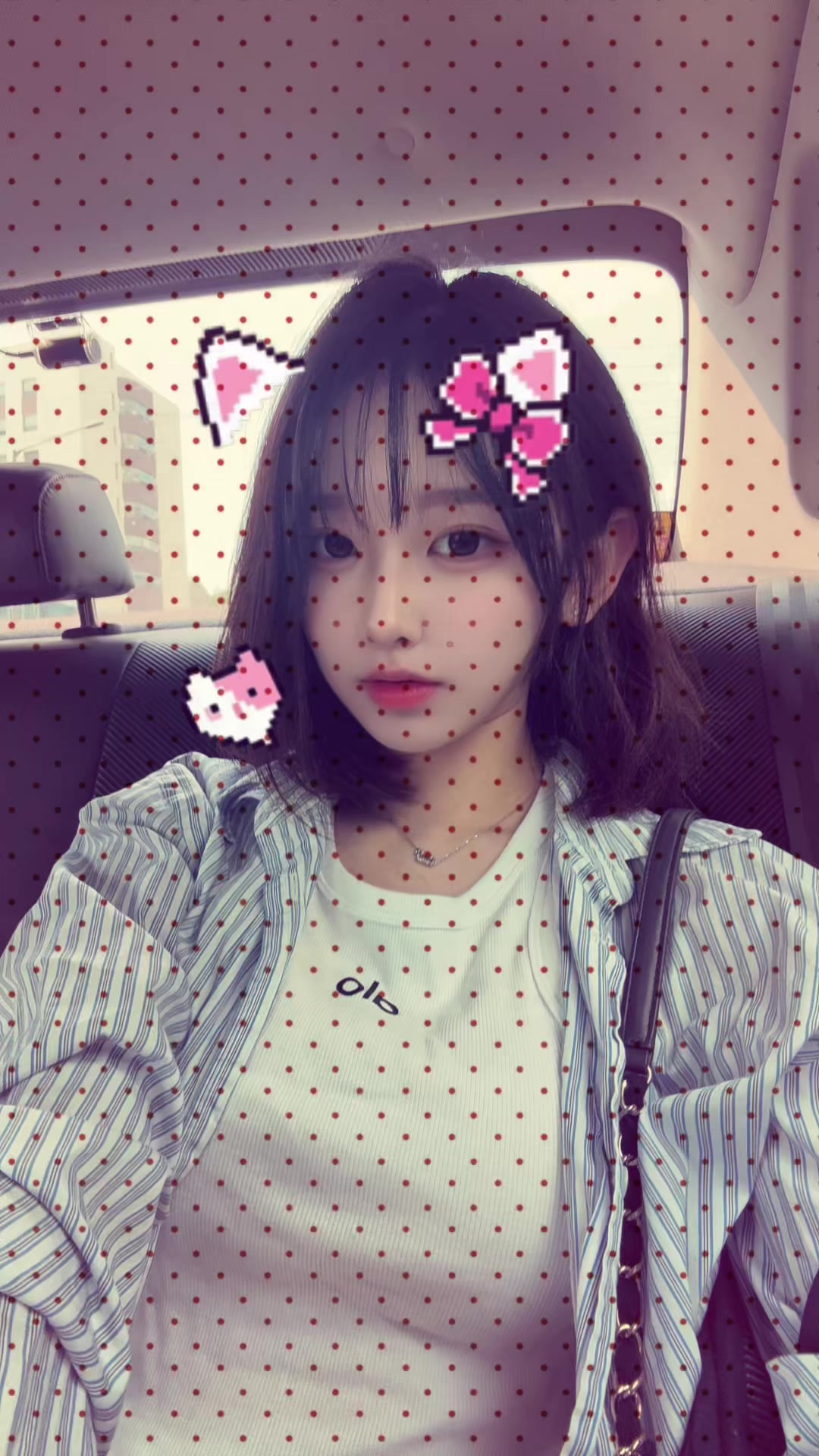 @도설