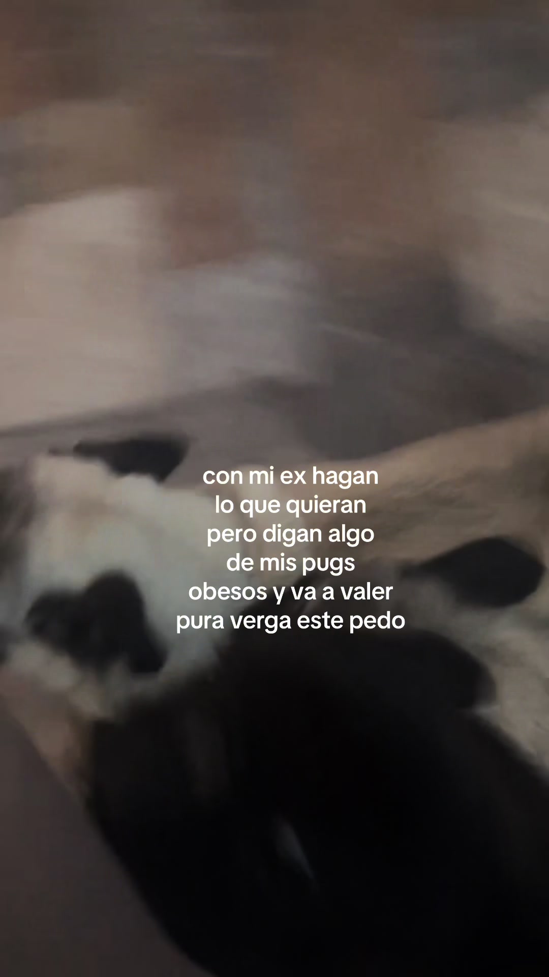 @𝓂𝑒𝓃𝒶