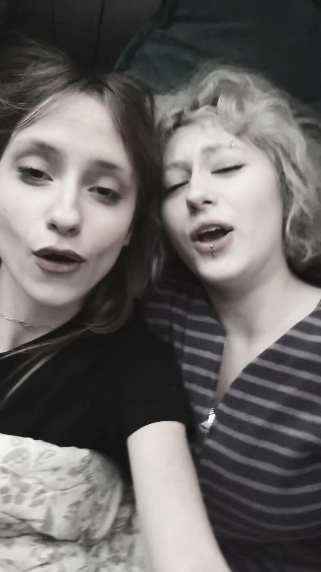 @avalonnq