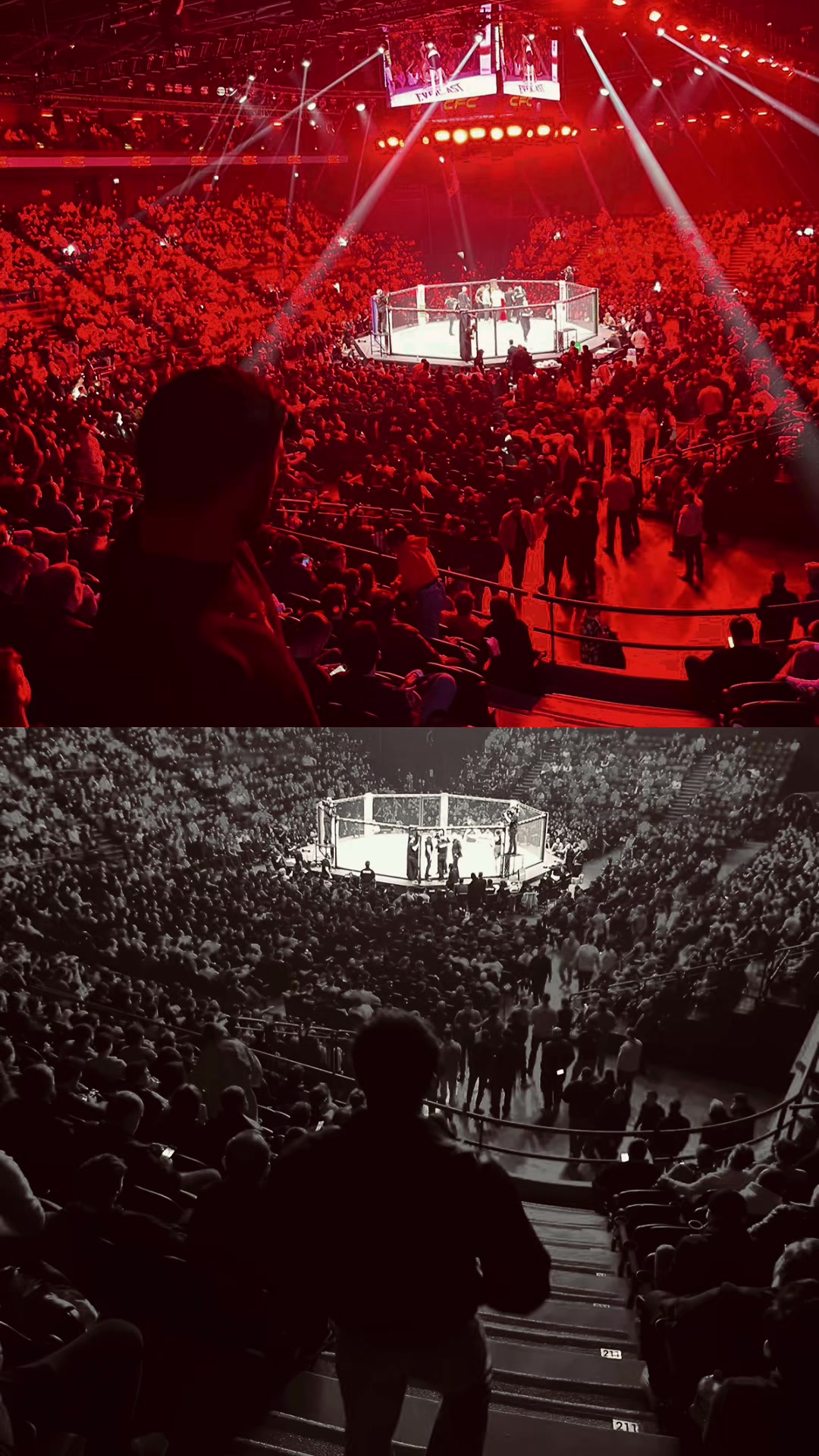 @mma fighter
