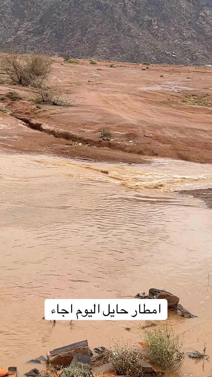 @﮼حنو ☪︎