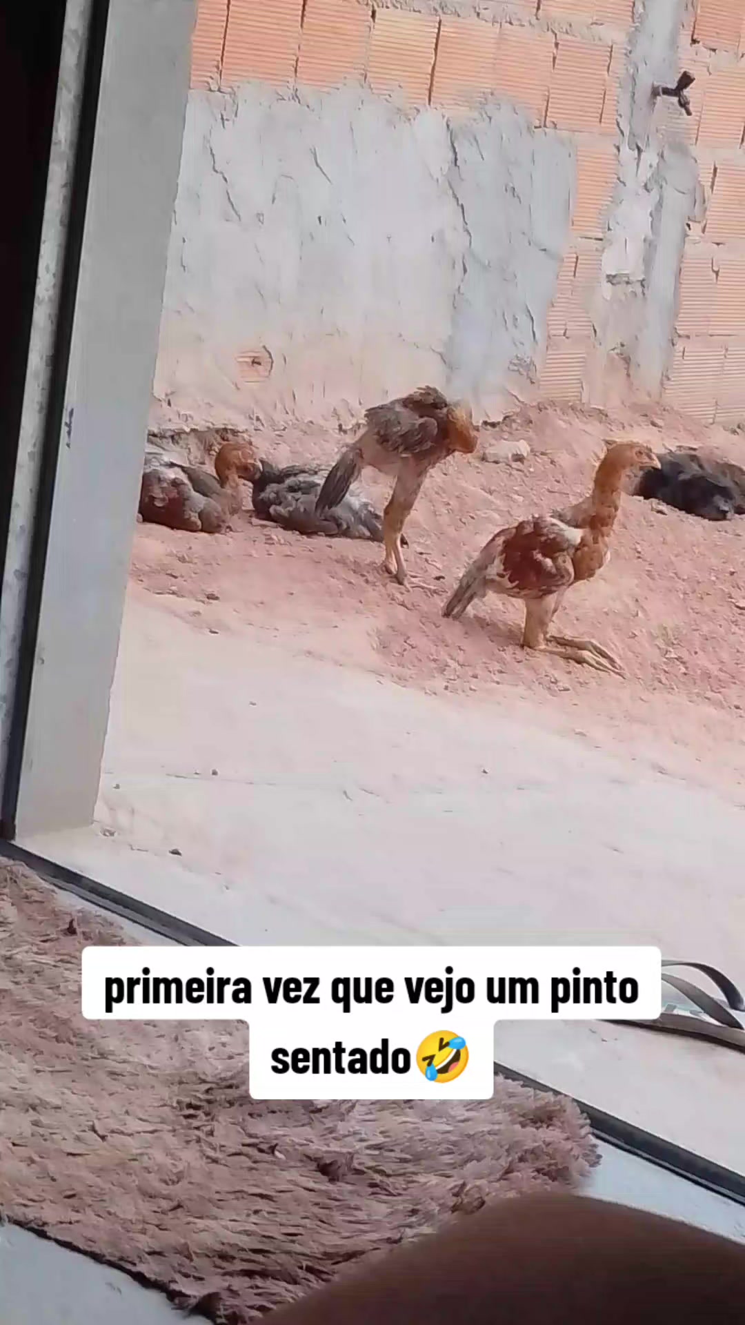 @Kelen Cristina