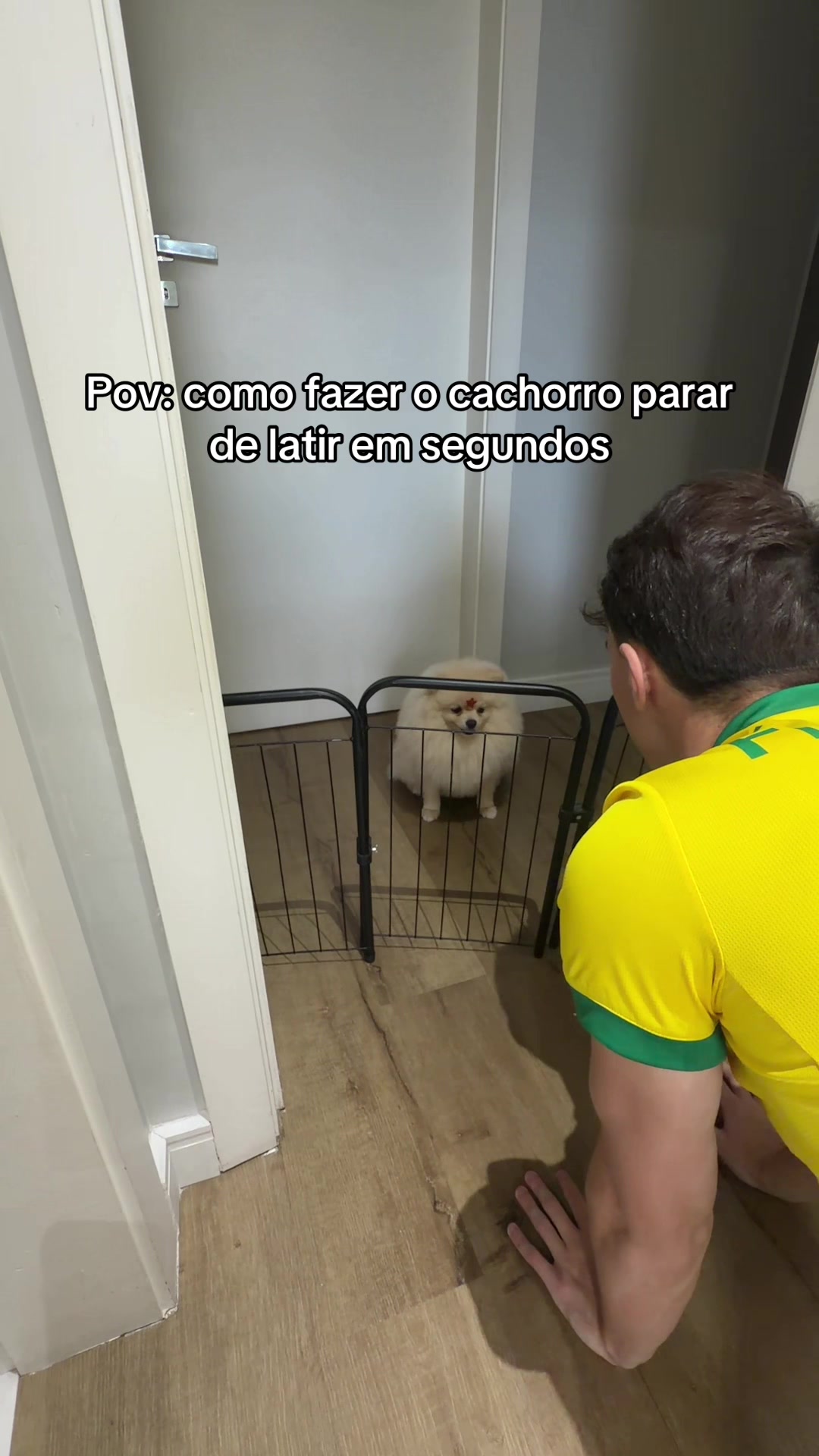 @Jo&atilde;o Pedro 🎭
