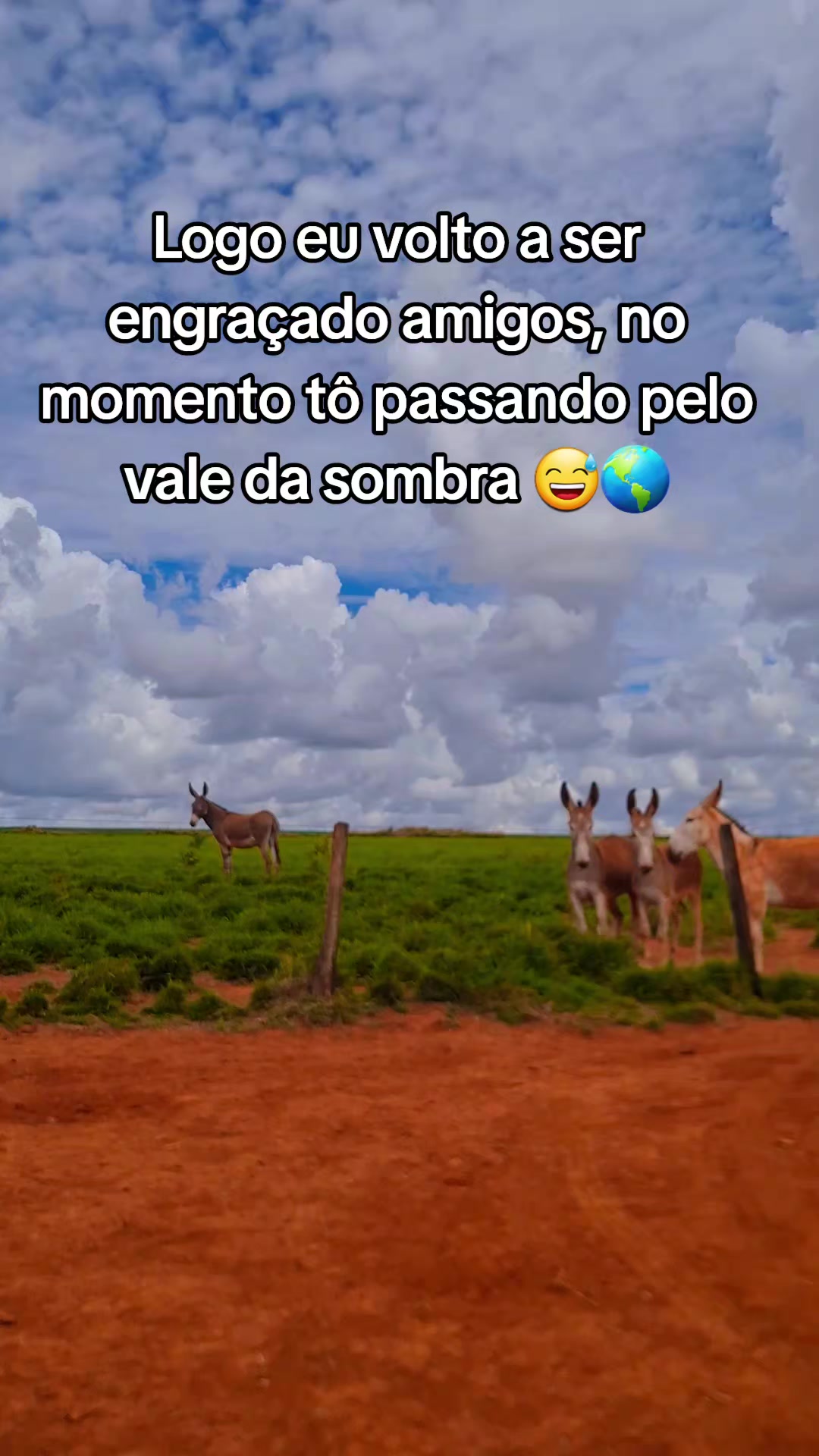 @mineiro do Norte 🧘♂️