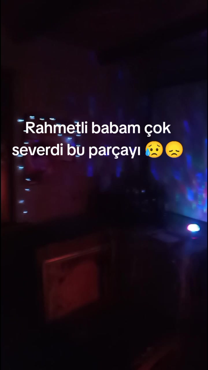 @Enzo Anima