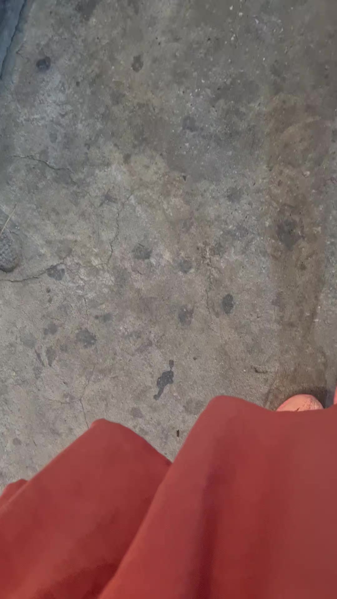 @jirawat7262