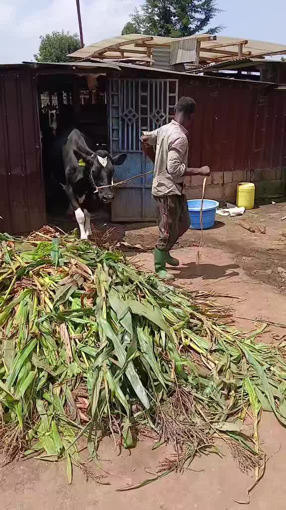 @Dennis Mukundi Wambui