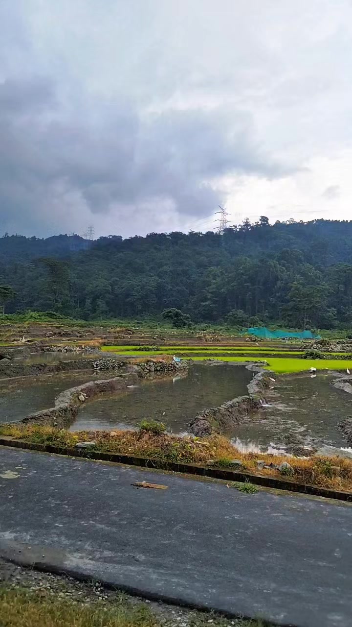 @Fast_Furious__@🇧🇹
