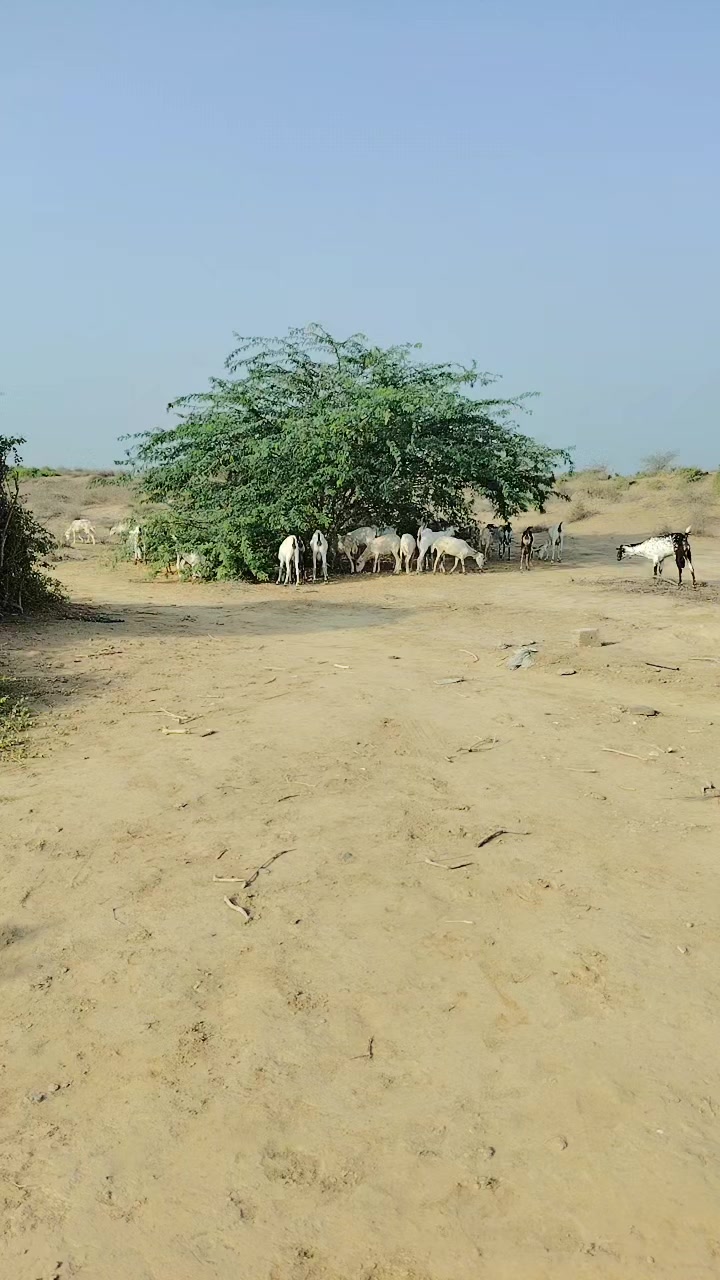 @نجم الظلام