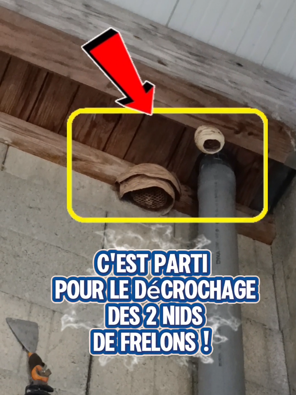 @Médoc Guêpes Frelons Services