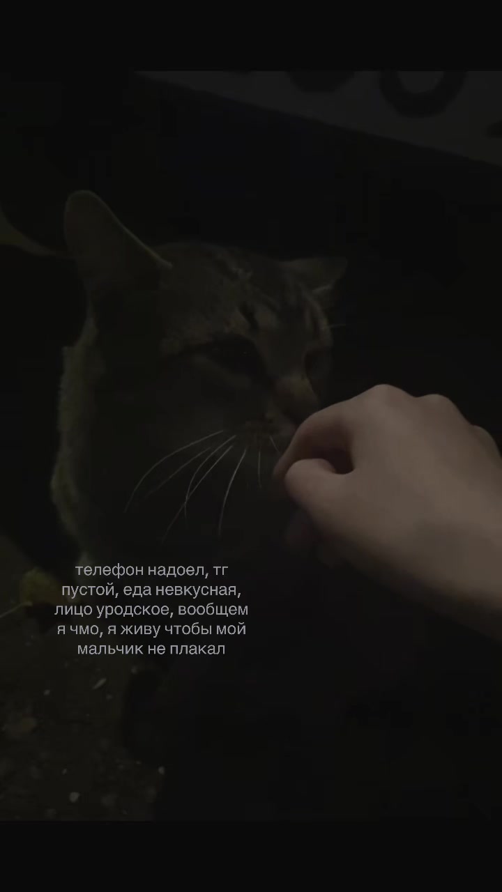 @киса