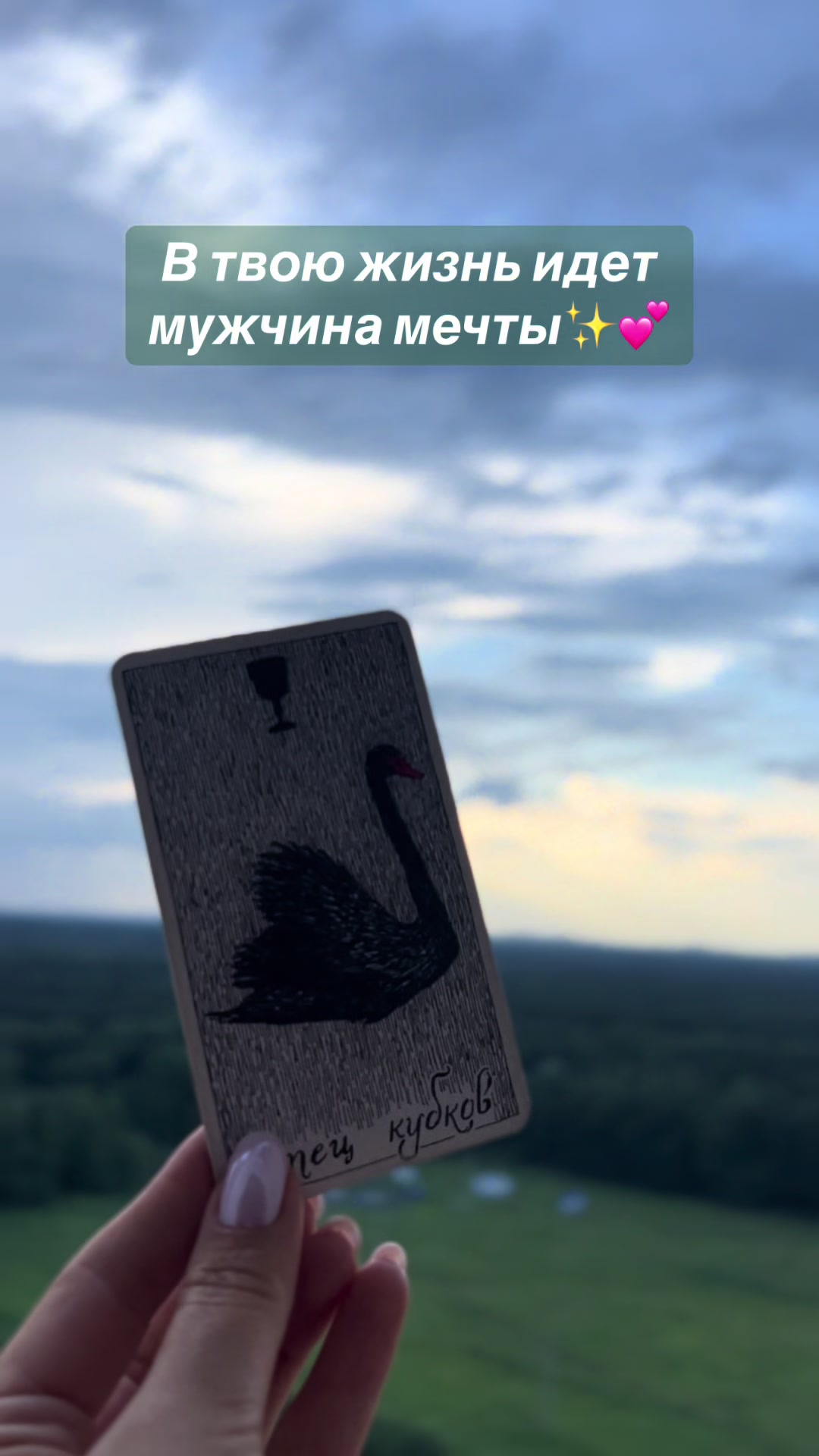 @tarolog__katrin_