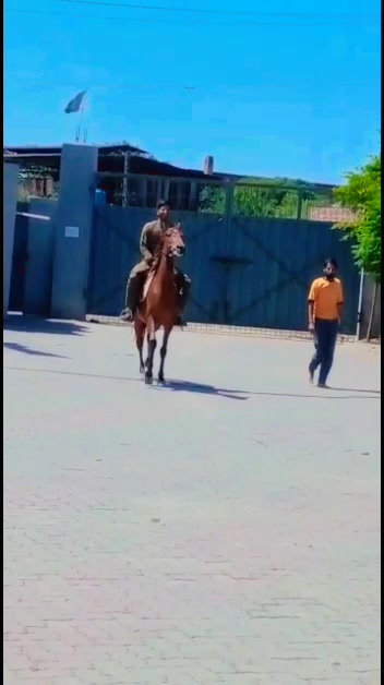 @شیخ ابرارحافظ آباد🦅Cammando🦅
