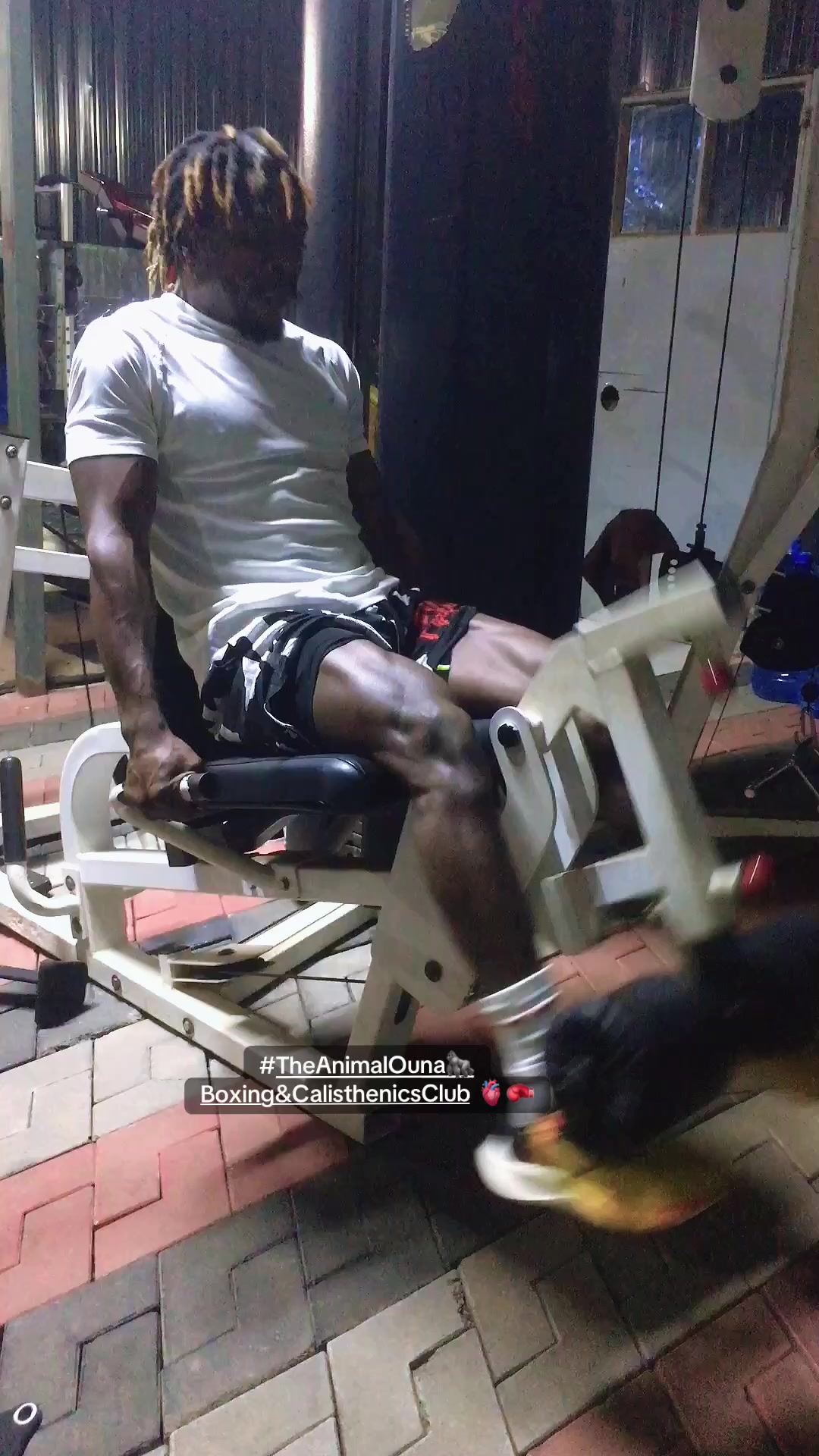 @TheAnimalOuna🦍…