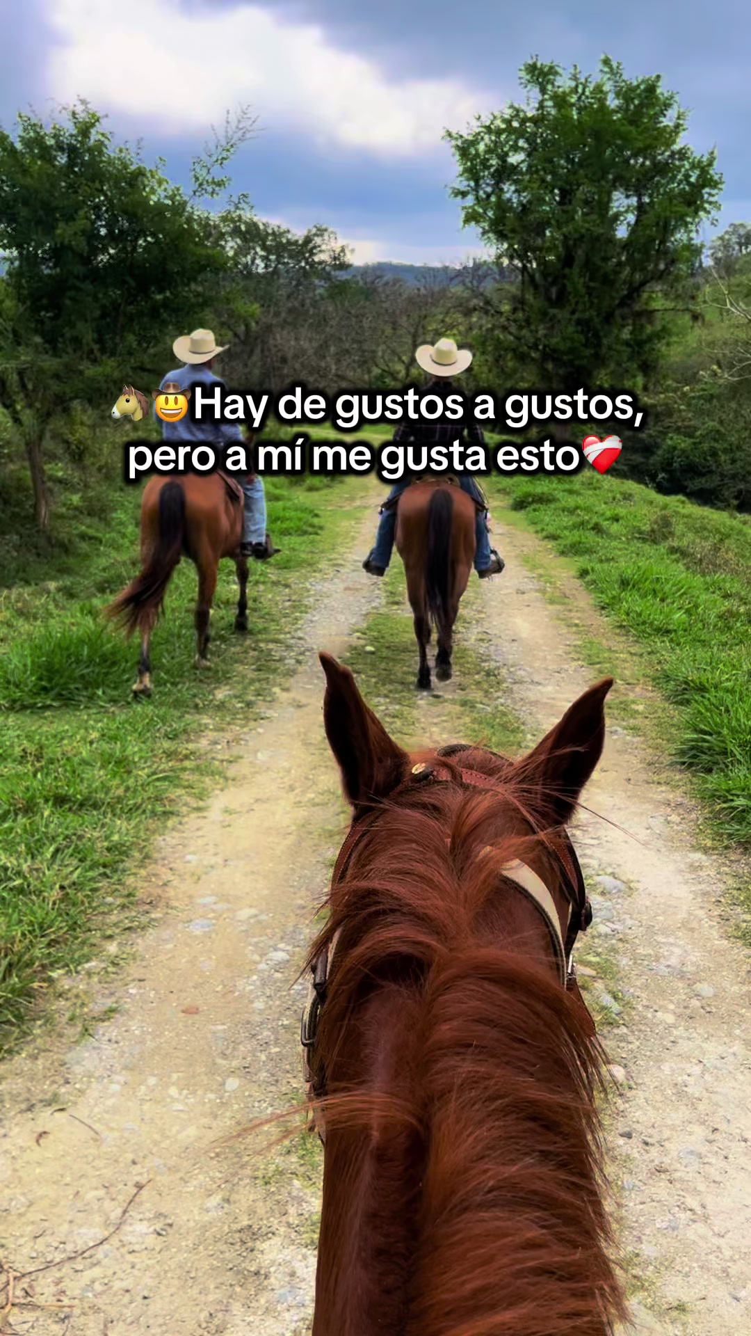 @CITTEM