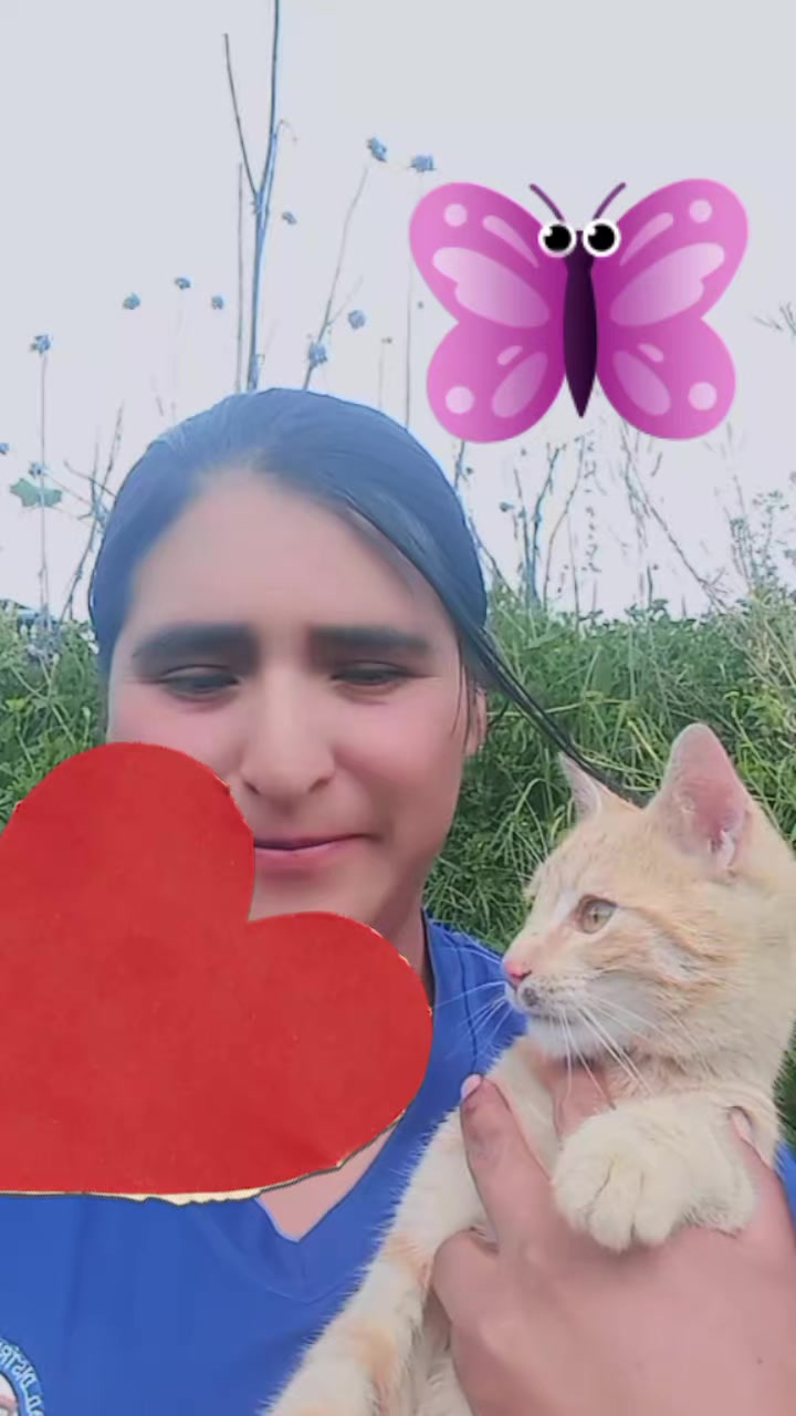 @ANI Y.M❤️❤️❤️❤️