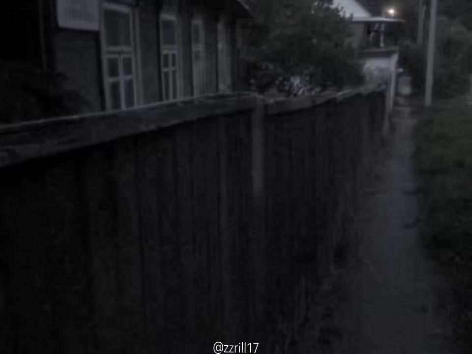 @zzrill17🐈&zwj;⬛