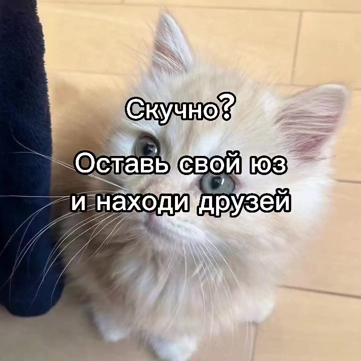 @mivrac
