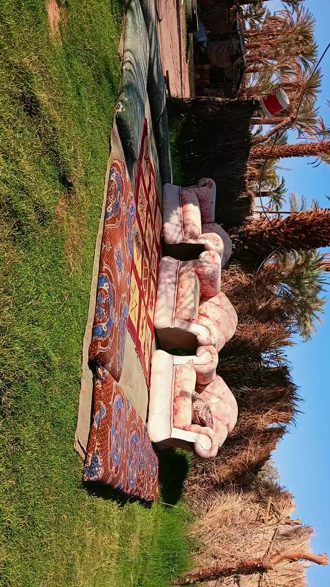 @(البُحيري)87
