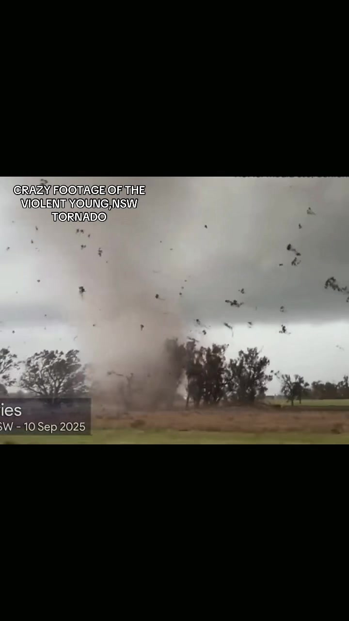 @☈🌪️OZforecasting🌪️☈