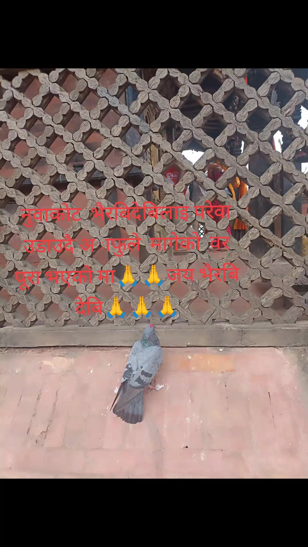 @geeta nepal11