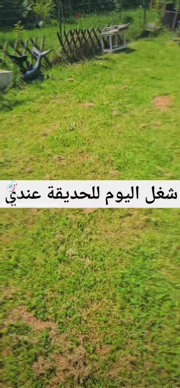 @🇧🇪Belgique فواز🇸🇾