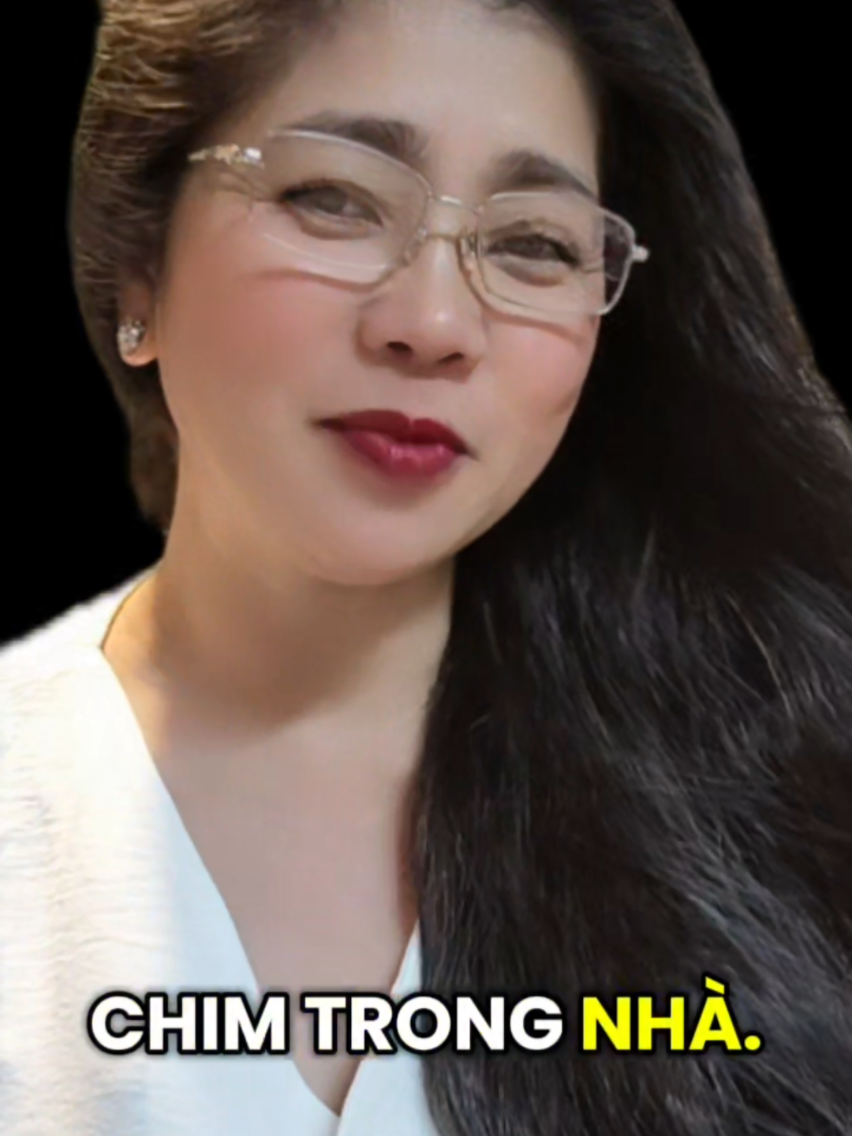 @Tố Quy&ecirc;n