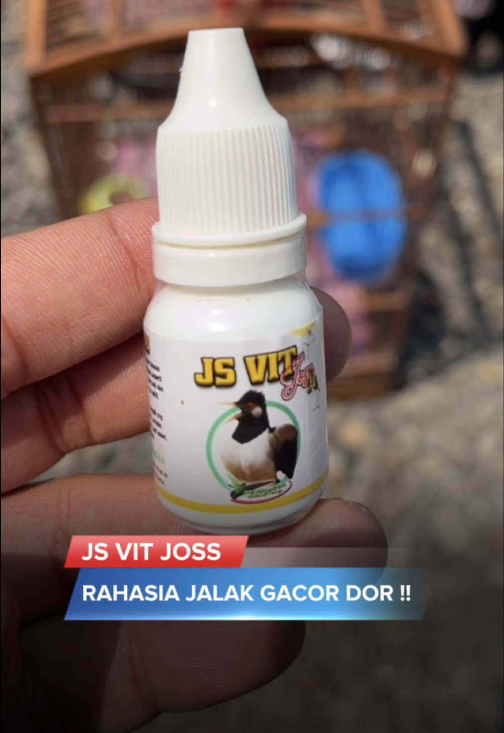 @KICAUNESIA ONLINE