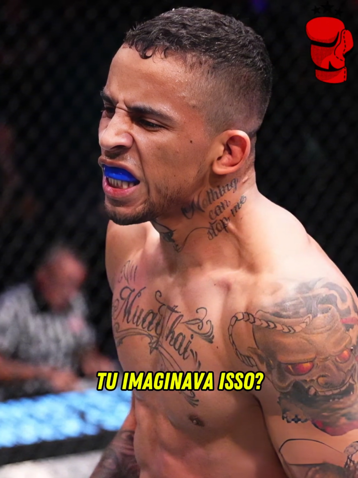 @MMA CUTS