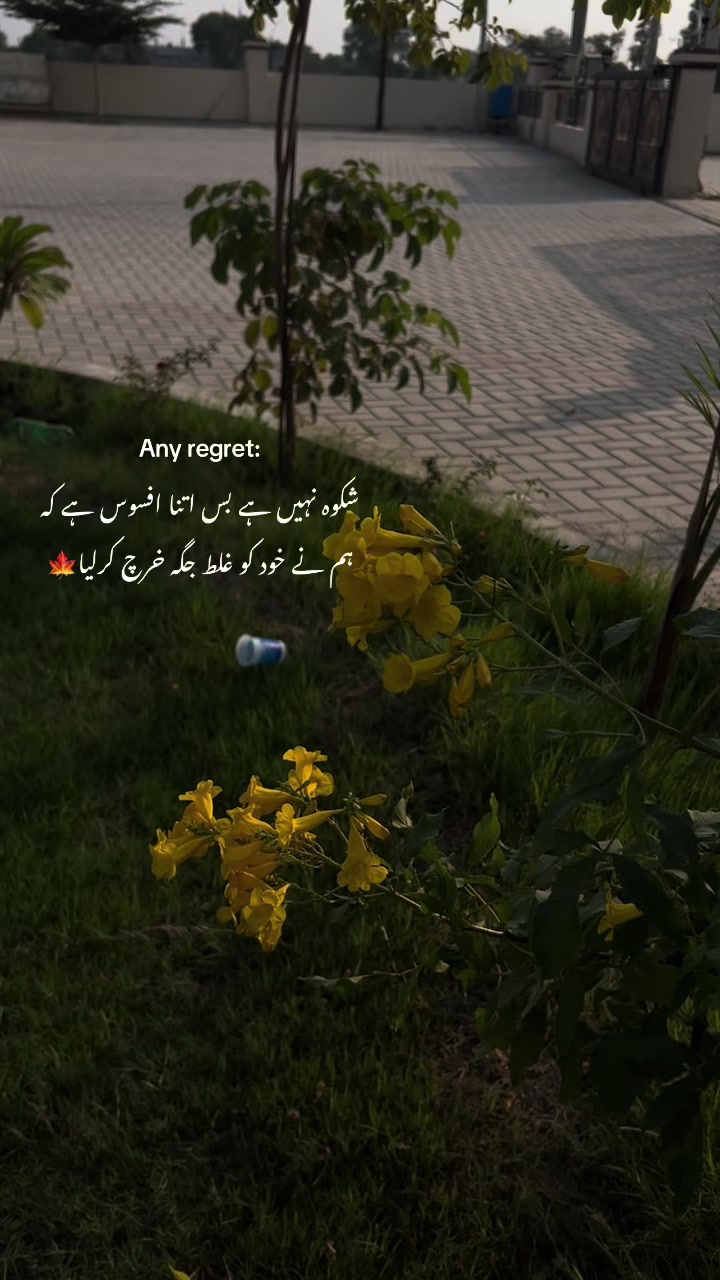 @🌸~