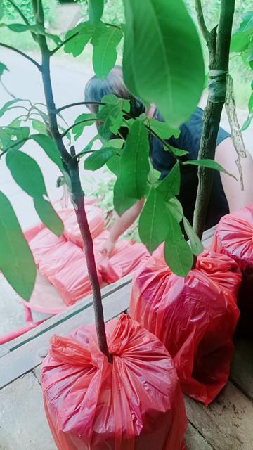@Nur Durian