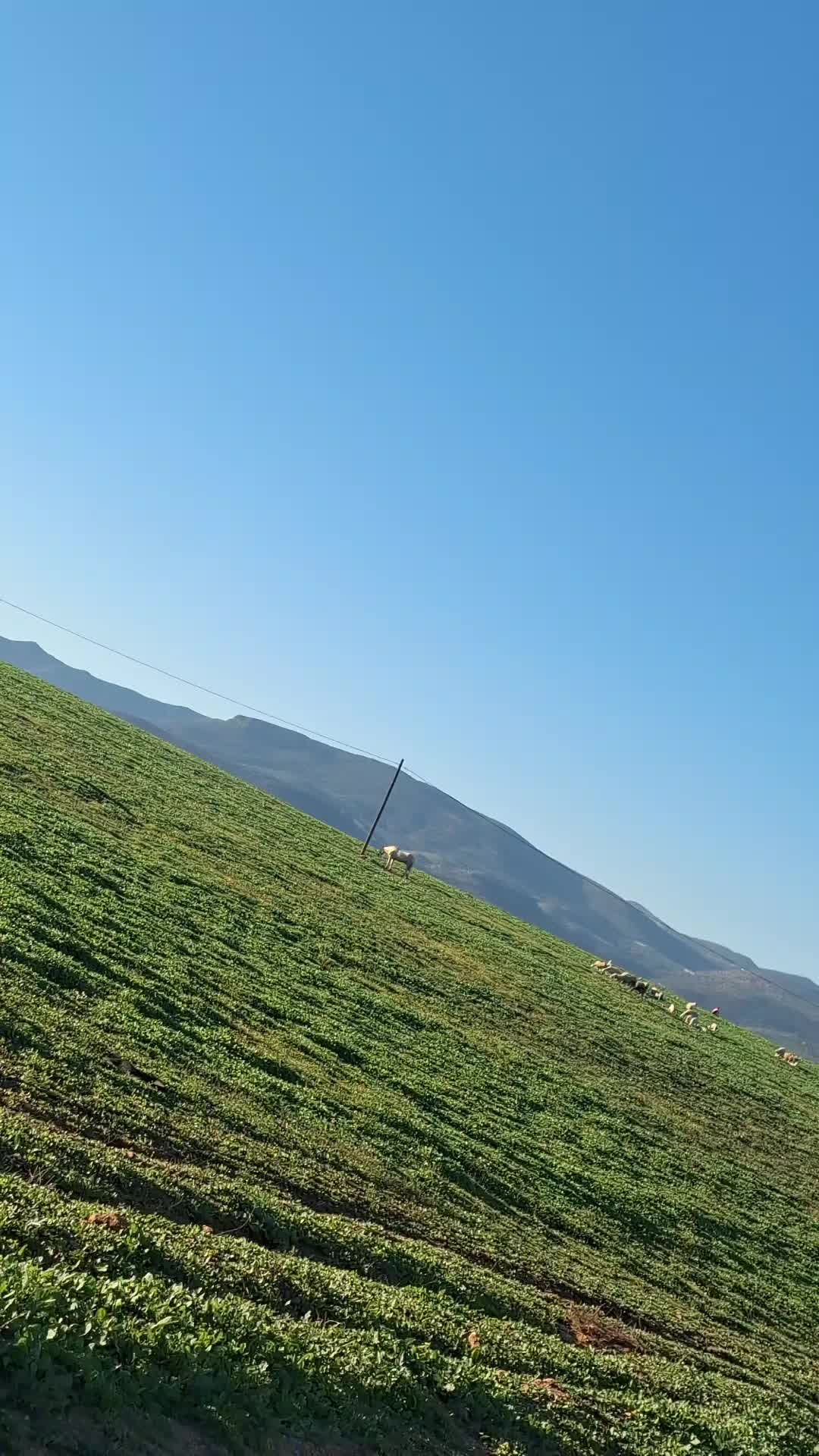 @𝘿ī𝙙&Eacute;𝙉__𝙏𝙡𝙢