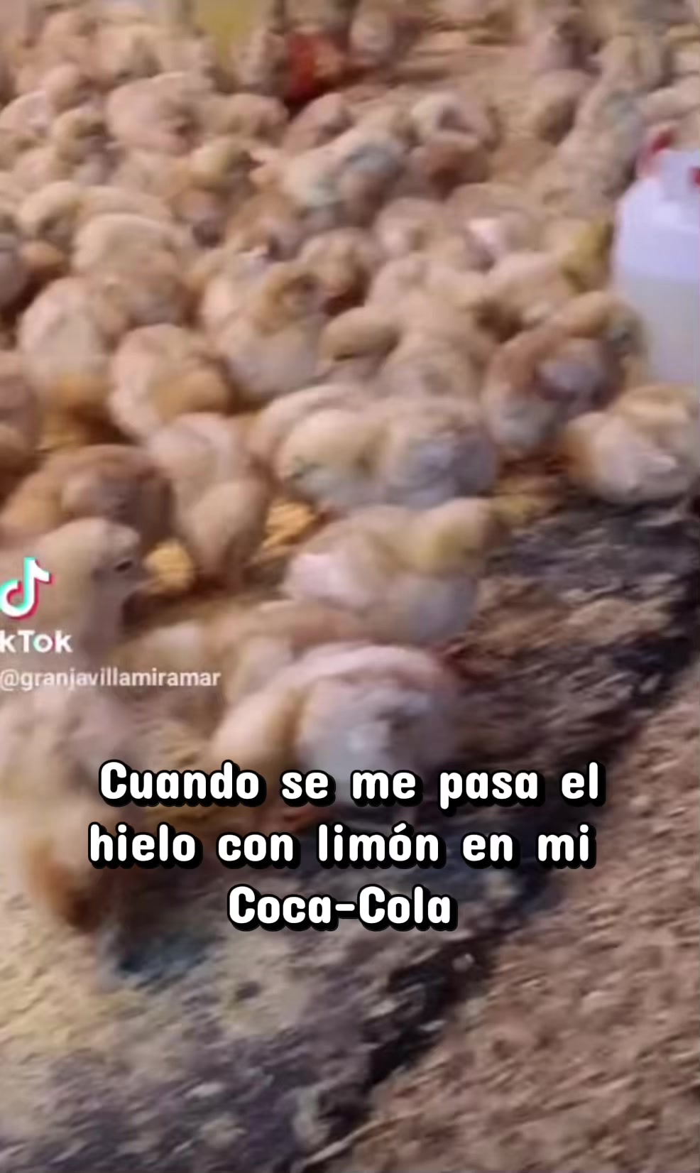 @JAV.