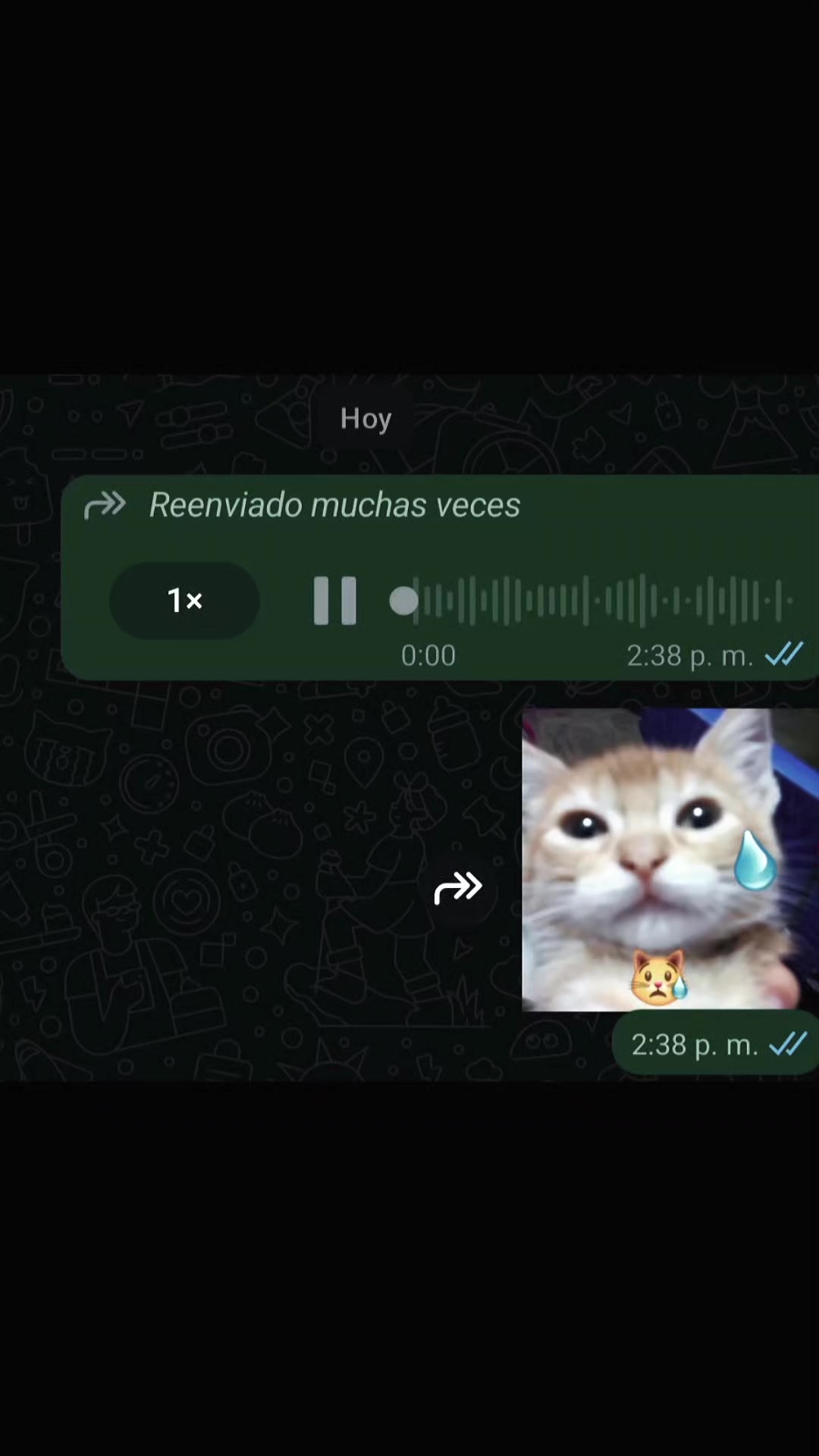 @ᴊʜᴏɴᴄɪᴛᴏ_ᴡᴀᴀ 👻