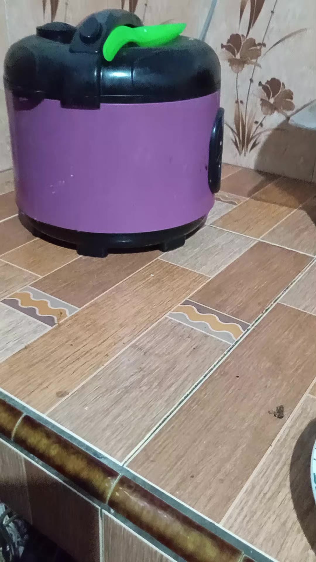 @bayuputra, birowo16